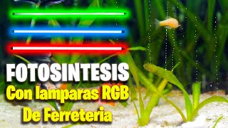 Compré Lamparas RGB y Las plantas hicieron Fotosíntesis 😲 [upl. by Sudnak]