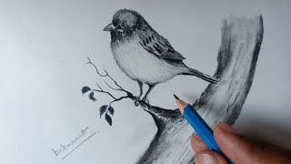 How to draw a beautiful bird sitting on a branch of tree  step by step [upl. by Malek139]