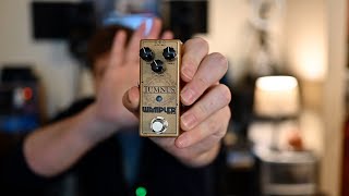 Wampler Tumnus Demo  With Friedman Runt 20 Head [upl. by Anaicul960]