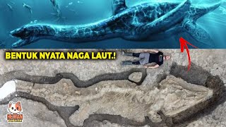 Penemuan NYATA Fosil Naga Laut 180 Juta Tahun Seperti Apa Bentuknya [upl. by Htes]