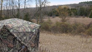 Ameristep Element Ground Blind [upl. by Eadith]