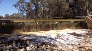 Quambi weir water control gate opened [upl. by Ytinav168]