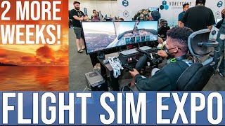 Flight Sim Expo 2023 What to expect Coming this JUNE [upl. by Htebazileharas179]