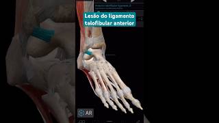 Lesão do ligamento talofibular anterior fisioterapia exercícios cinesioterapia [upl. by Nwahsear]