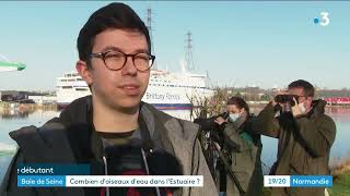 Combien doiseaux deau dans lEstuaire   Réserve Naturelle de lEstuaire de la Seine [upl. by Fritze]