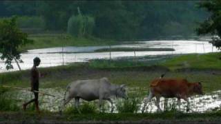 O Amar Bangla Ma Tor  Fahmida Nabi [upl. by Itagaki]