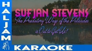 Sufjan Stevens  The Predatory Wasp of the Palisades is Out to Get Us karaoke [upl. by Akemor87]