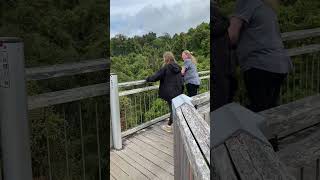 21 metres high Skywalk Lookout 70 metre boardwalk Dorrigo National Park NSW [upl. by Wilen]