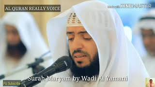 TheMost Surah Maryam By Wadi Al Yamani [upl. by Okramed]