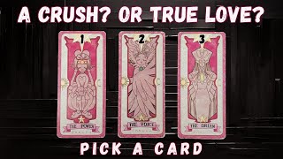 Is It Just A CRUSH or TRUE LOVE PICK A CARD Tarot Reading [upl. by Ralston]