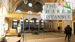 THE HAREM of the SULTANS in the TOPKAPI PALACE  ISTANBUL VLOG [upl. by Shulem]