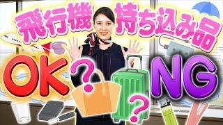 飛行機に持っていける？荷物の持ち込み・預け入れルール解説！ [upl. by Aerbma]