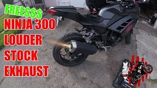 Make Your Ninja 300 STOCK Exhaust Louder [upl. by Vaientina319]