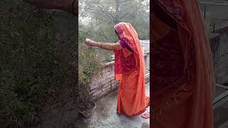 Tulsi bhajanTulsi song Tulsi shortTulsi geet [upl. by Omle12]