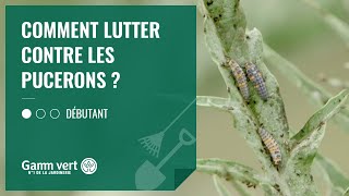 TUTO Comment lutter contre les pucerons – Jardinerie Gamm vert [upl. by Iline]