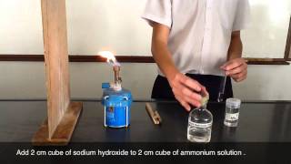 Testing of Ammonium Cations  sodium hydroxide [upl. by Mcclelland]