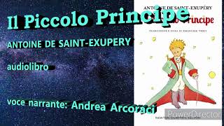 Il Piccolo Principe audiolibro [upl. by Maice]