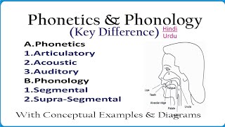 Phonetics and Phonology key Difference amp Similarities in Hindi amp Urdu Linguistics [upl. by Issak]