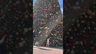 Christmas is coming 🎄Irvine spectrum giant Christmas tree [upl. by Evey653]