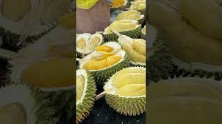 The Ultimate Durian Experience Crazy Reactions shorts [upl. by Llennehc]