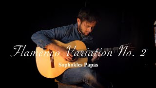 Flamenco Variation No 2  S Papas [upl. by Tsirc197]