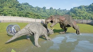 STYRACOSAURUS VS TYRANNOSAURUS REX  BATTLE JURASSIC WORLD EVOLUTION [upl. by Handy]