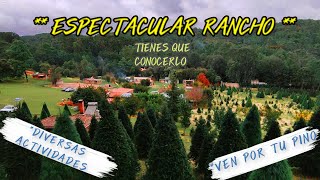 CABAÑAS ARBOLES DE NAVIDAD ACTIVIDADES RECREATIVAS  RANCHO LOS CIERVOS VEN A CONOCERLO [upl. by Drofkcor]