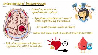 Brain Hemorrhage  Epidural Subdural Subarachnoid Intracerebral  Concisely Described [upl. by Singband]