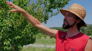 CASDAR SMART  Visite du vergermaraîcher de la ferme Brin de Terre [upl. by Eisenhart]