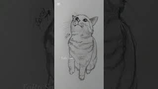 Adorable Cat Art Cute and Funny Designs [upl. by Ahseenak]