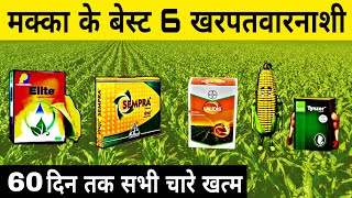 मक्का के बेस्ट 6 खरपतवारनाशी  laudis herbicide  sempra  basf tynzer herbicide  lodis  tinger [upl. by Nossaj968]