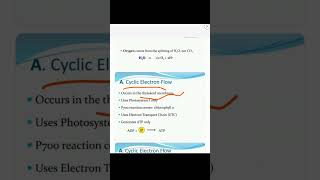 PhotosynthesislLight Reaction 73Cyclic and Non cyclic Photophosphorylation ‎botanysolution4054 [upl. by Korten]