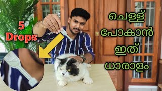 പൂച്ചയിലെ ചെള്ള് ഇനി എളുപ്പം കളയാം  Spot On Treatment In Cats For Flea Problems In Cats Malayalam [upl. by Aerdna]