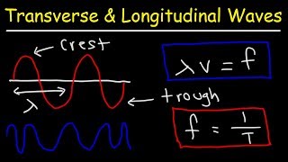 Transverse and Longitudinal Waves [upl. by Isla]