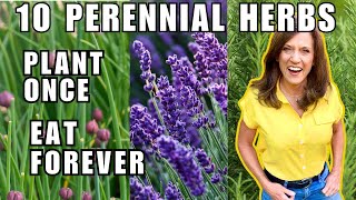 TOP 10 BEST Perennial Herbs To Grow in November Plant Once Harvest Forever [upl. by Nanete]