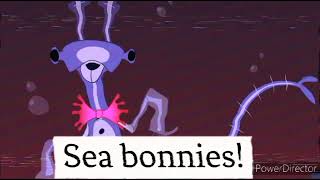 Custom sea bonnies commercial [upl. by Tonie]