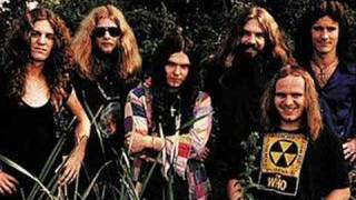 Roll Gypsy Roll  lynyrd skynyrd with lyrics [upl. by Morice]