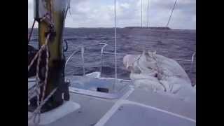 Catamaran Hirondelle 23 motoring at windforce 5 [upl. by Rehpinej]