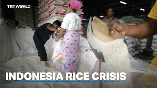 El Nino sends rice price in Indonesia soaring [upl. by Annaitsirhc]