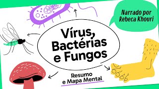 VÍRUS BACTÉRIAS E FUNGOS  BIOLOGIA  Mapa Mental  Quer Que Desenhe [upl. by Anerual276]