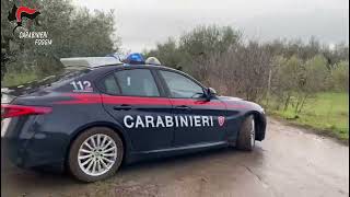 Provincia di Foggia contrasto ai reati predatori 13 arresti e una denuncia da parte dei Carabinieri [upl. by Gino]