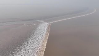 Spectacular scaleshaped tidal wave spotted on Qiantang River [upl. by Nosnaj797]