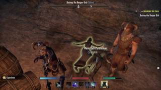 The Elder Scrolls Online Tamriel Unlimited Jorunn the Skaldking [upl. by Ilojne]