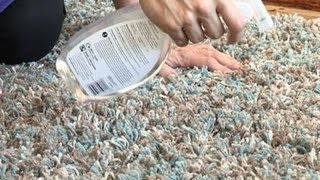 How To Clean Wool Carpets [upl. by Einej354]