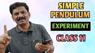 Simple Pendulum Experiment Class 11 practicals  Samacheer Kalvi amp CBSE [upl. by Maisey]