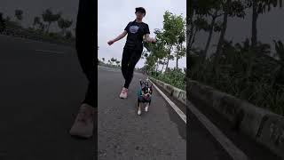 Jogging 5ribu langkah bersama Nami Chihuahua 🐕🏃🏻 [upl. by Wagshul]