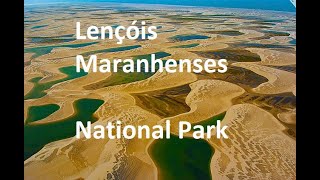 Lençóis Maranhenses National Park wildlife amazing nationalpark brazil fyp [upl. by Niriam]