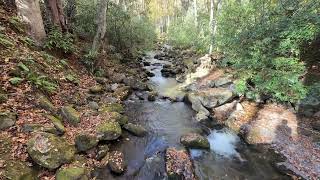 Great smoky mountains national park fall colors [upl. by Henning386]