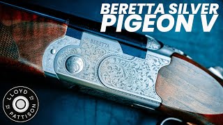 Beretta Silver Pigeon 5 [upl. by Sass]