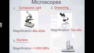 SCI 7  Types of Microscopes [upl. by Yahsel]